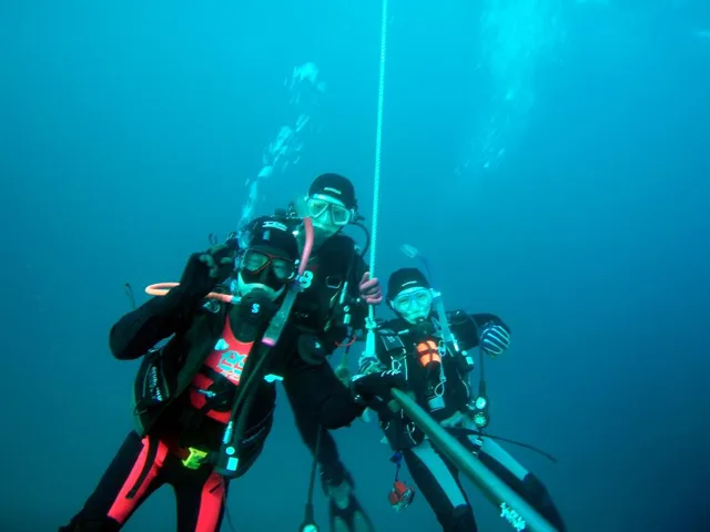 白浜・ダイビングツアーの写真 15