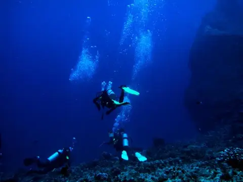 SAIPAN
ツアーフォトグラフの写真 21