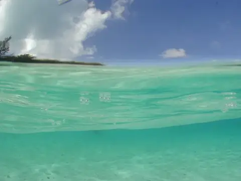 SAIPAN
ツアーフォトグラフの写真 32