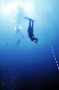 Jacques Mayol Memorial Competition 2002の写真 22