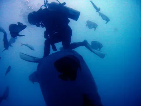 沖縄・渡嘉敷島ツアーフォトグラフの写真 37