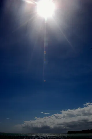 パラオダイビングツアー(陸上編)の写真 33