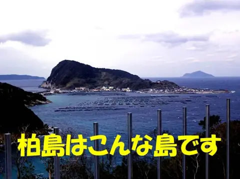 四国・柏島ダイブツアーの写真 20