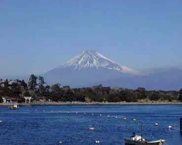 ダイビングツアー1月31日・大瀬崎の写真 3