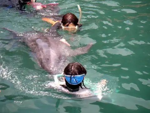 富戸~海中公園ドルフィンツアーの写真 8