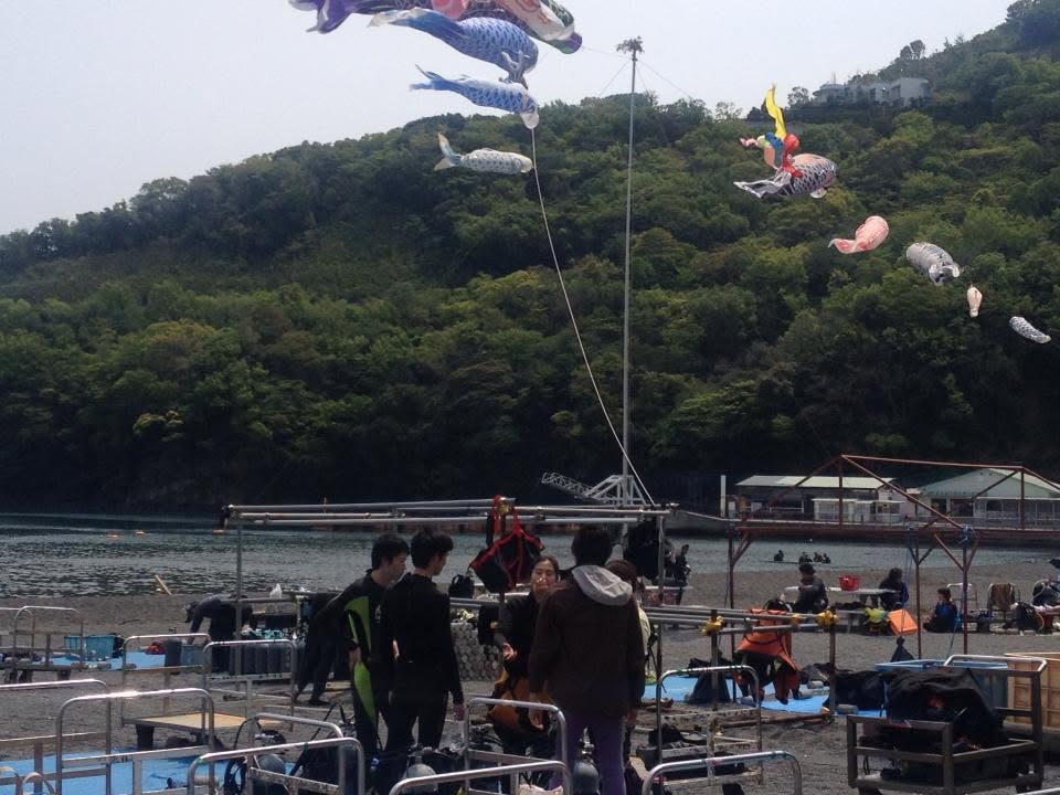 海辺の空を泳ぐ鯉のぼり(2012-2013年)