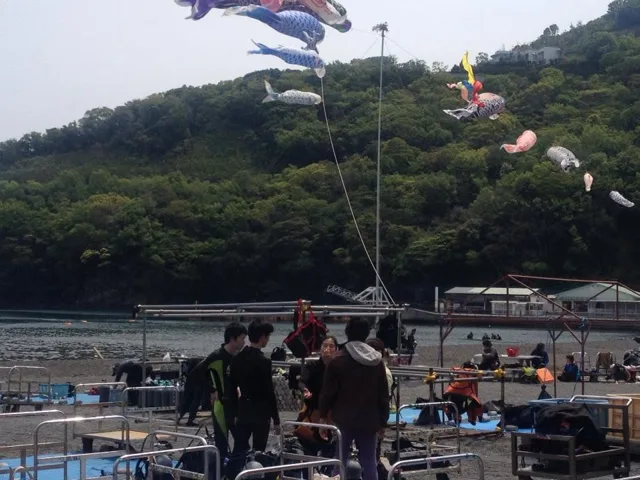 海辺の空を泳ぐ鯉のぼり(2012-2013年)