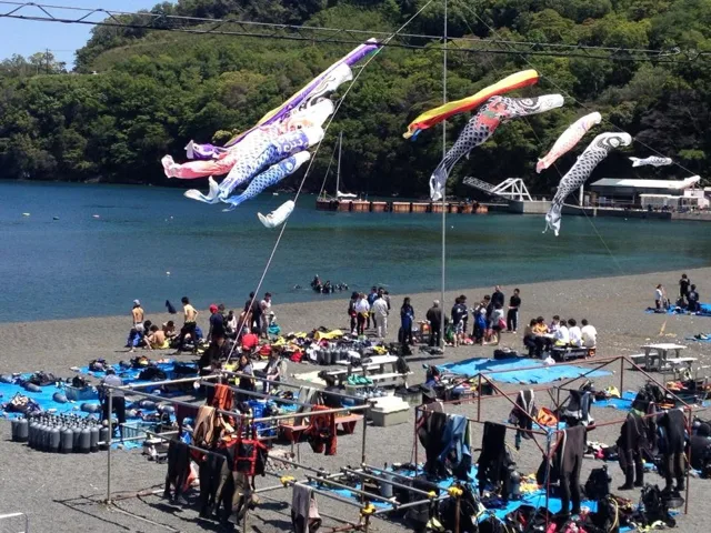 海辺に掲げられた鯉のぼりと参加者(2012-2013年)
