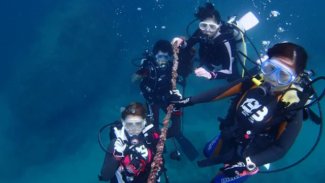 海神丸での水中や海辺で撮影したダイビングの記録