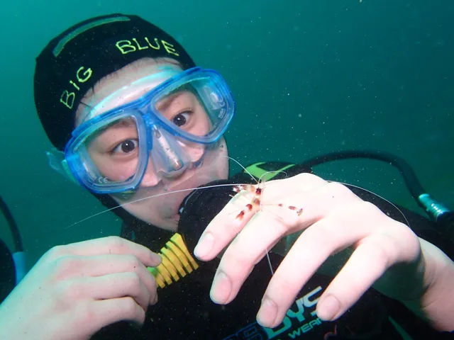 水中の魚を観察するダイバー