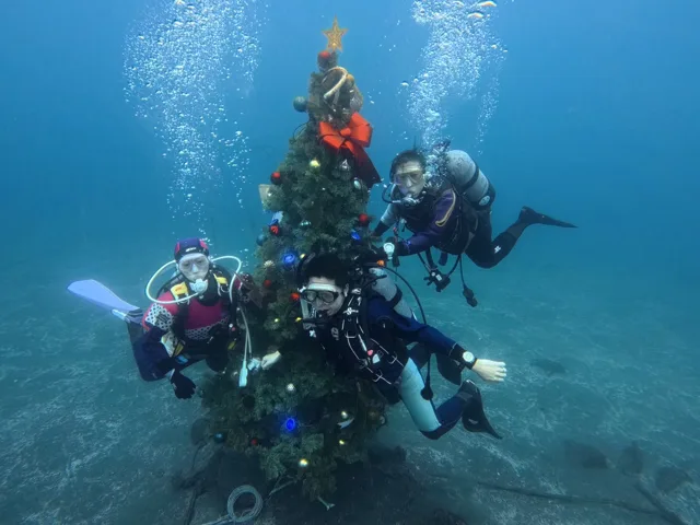水中のクリスマスツリーとダイバー