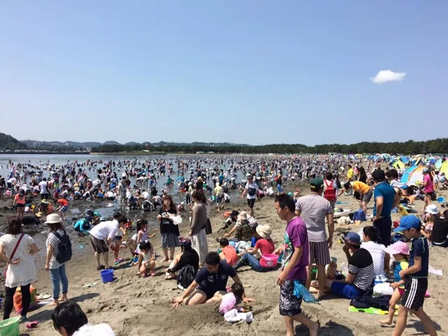 海の公園での4人以上の参加者の集合写真