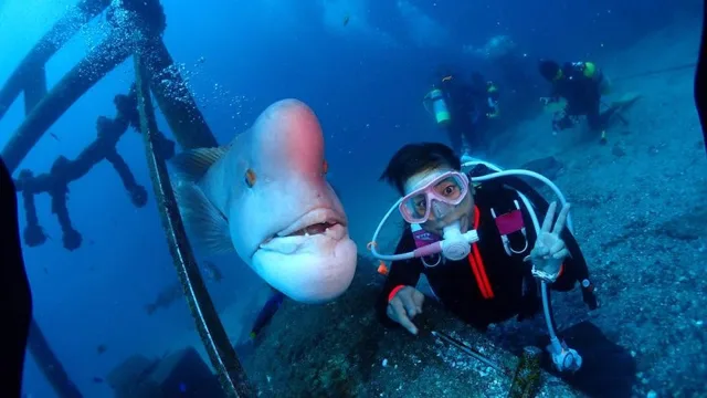 水中で見られる大きな魚とダイバー