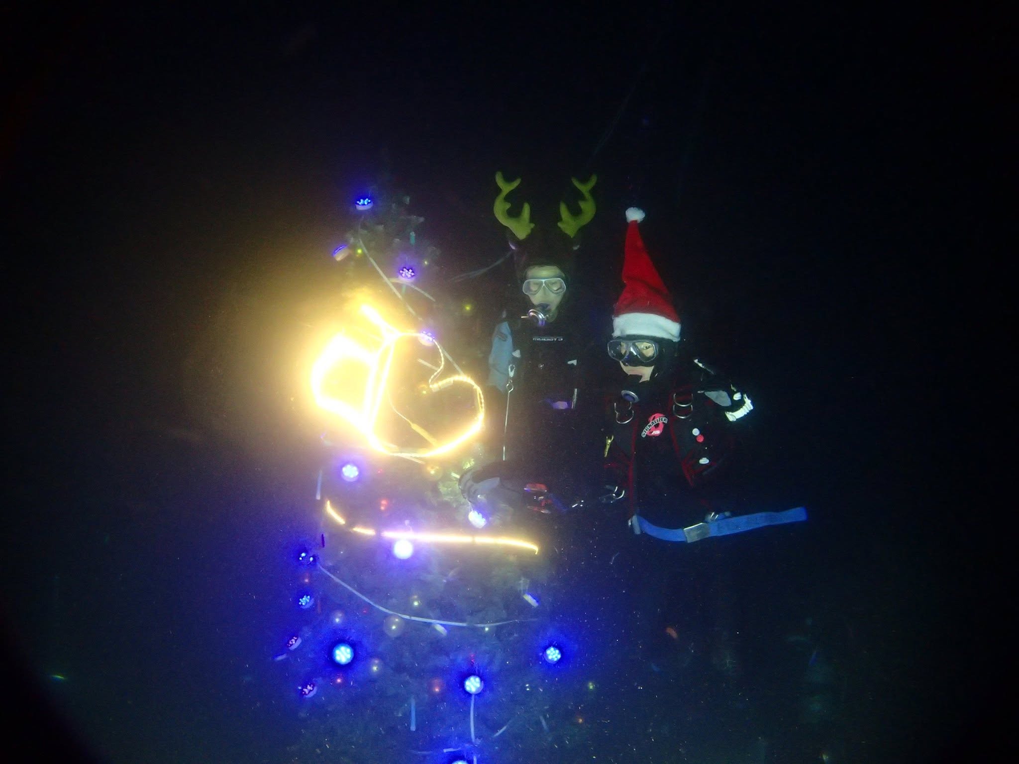 2017年12月23日(投稿日) / 水中のクリスマスツリー付近で潜るダイバー