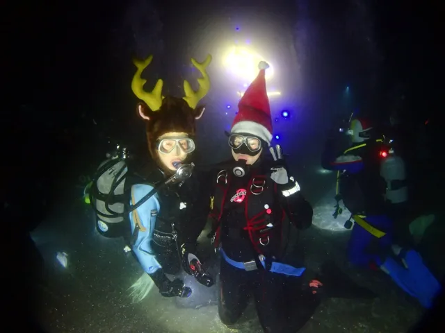 水中のクリスマスツリー付近で潜るダイバー