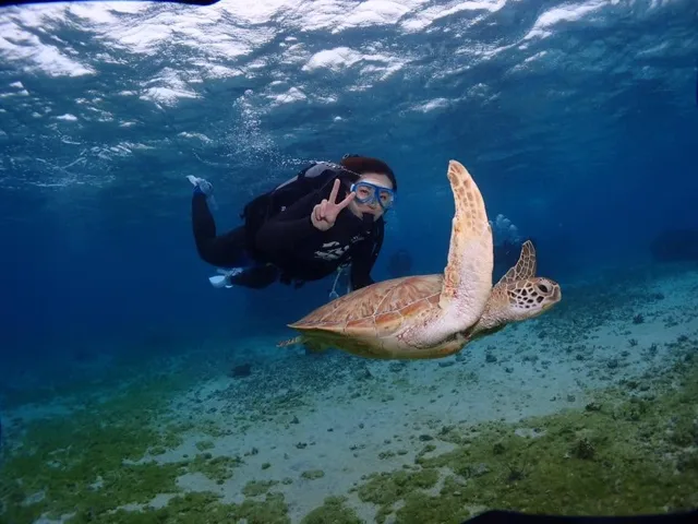 水中でウミガメと泳ぐダイバー