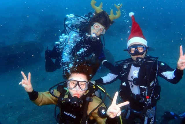 水中のクリスマスツリー付近で潜るダイバー