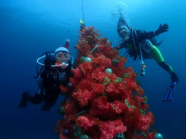 伊豆・大瀬崎でのダイビング:クリスマスの衣装を着けたダイバー