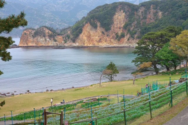 ツアー立ち寄り先と推定される砂浜と岩壁のある入り江
