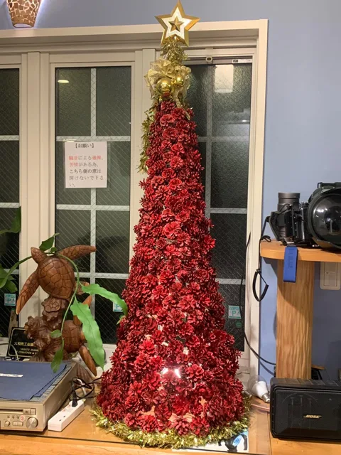 神奈川県大和市・ビッグブルーでの大和市のビッグブルー店内を飾るクリスマスツリー