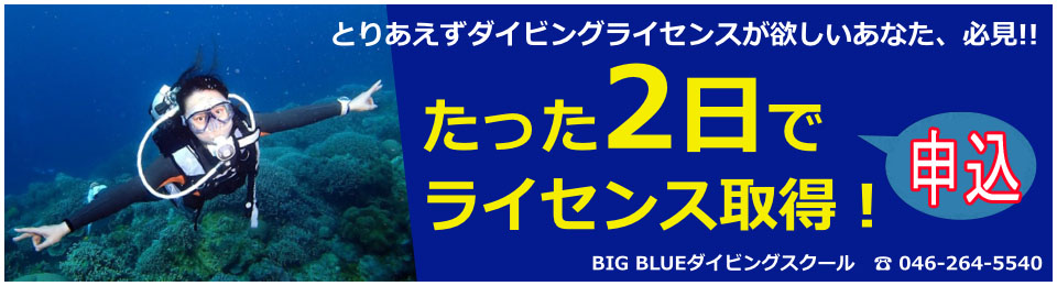 ダイビングライセンス神奈川の費用格安の最短2日のお申し込み