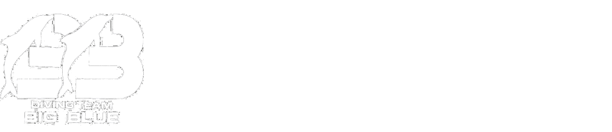 >神奈川でダイビング ライセンスのBIG BLUE