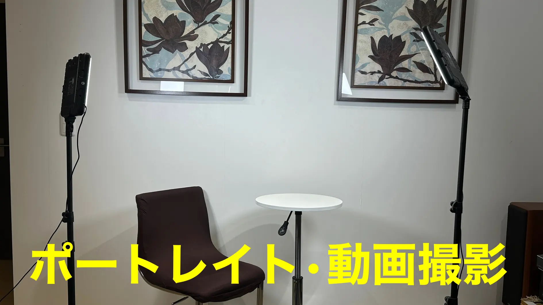 大和市鶴間駅近レンタルスペースの撮影用ライト2台（ポートレート・動画撮影対応）