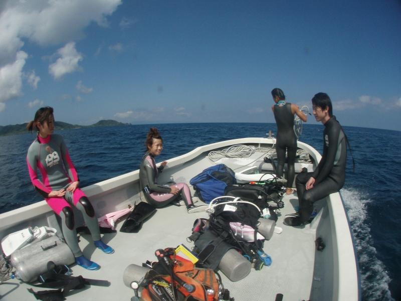 2008-11-06 01:59:57